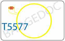 T5577 BLANK CARD